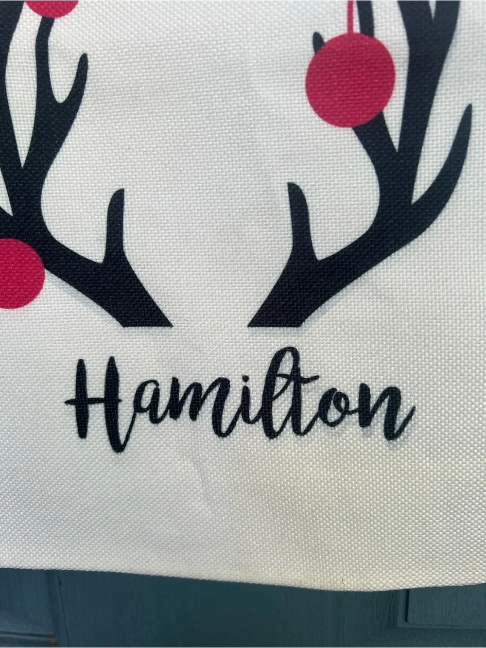 NWOT Personalized Reindeer Pillow Cover - “Hamilton”
